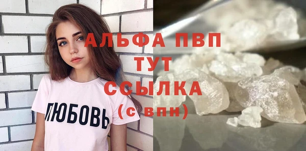 дживик Шадринск