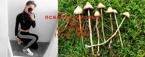 круглые Гусиноозёрск