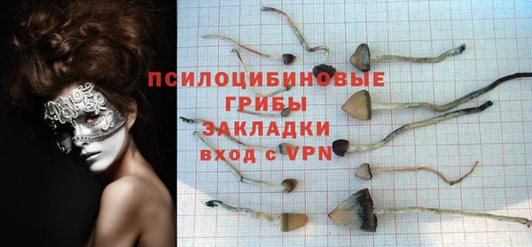 круглые Гусиноозёрск