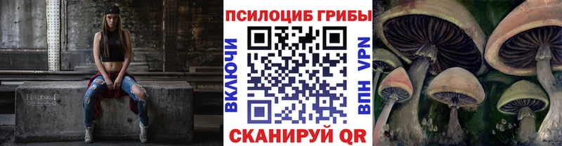 Галлюциногенные грибы GOLDEN TEACHER  Полесск 